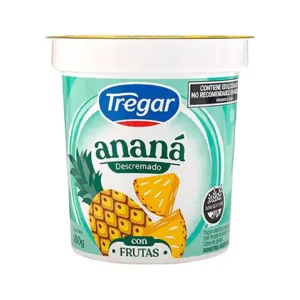 TREGAR-YOGUR DESC. C/FRUTAS ANANA (24x160grs)